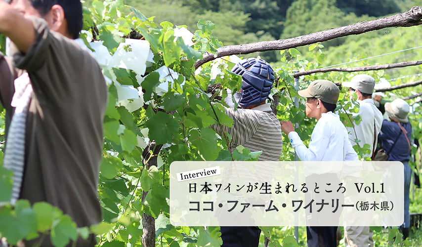 シリーズ・日本ワインが生まれるところ 。栃木『ココ・ファーム・ワイナリー』にインタビュー！