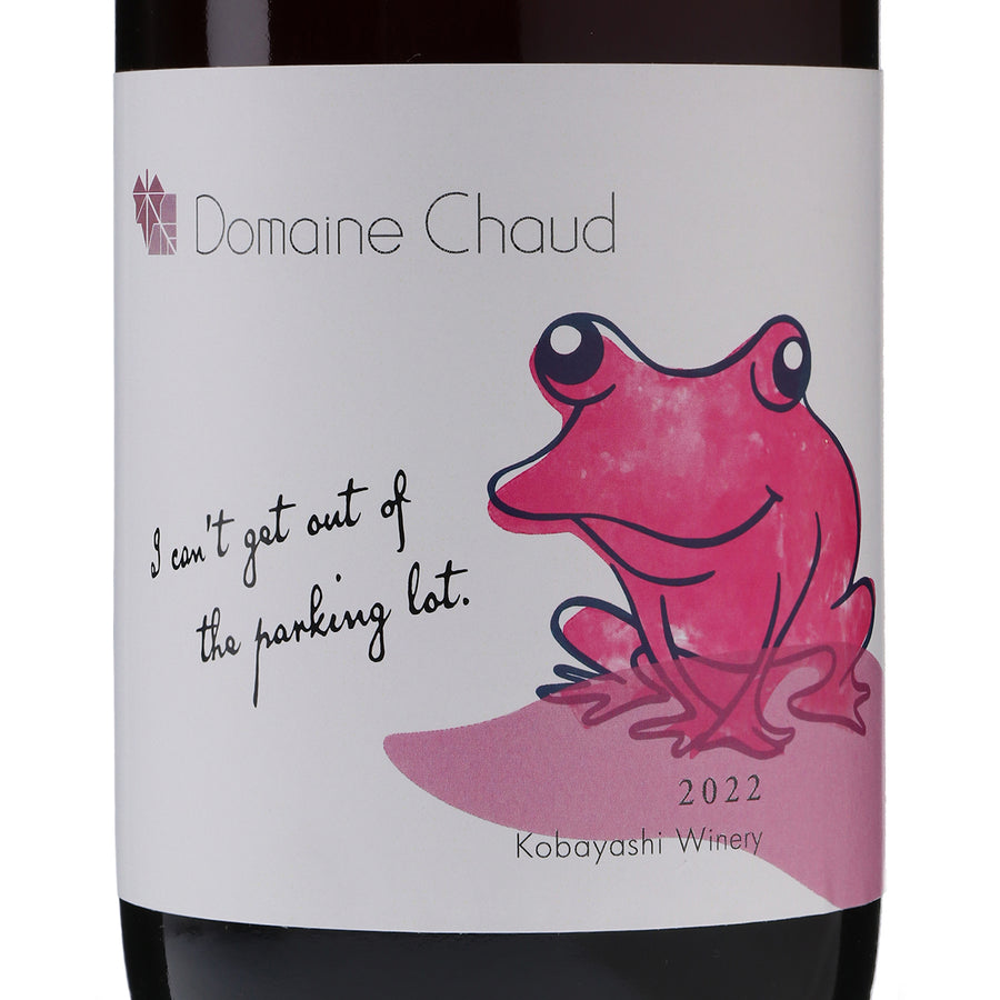 I can't get out of the parkinglot.2022 / 駐車場から出られない