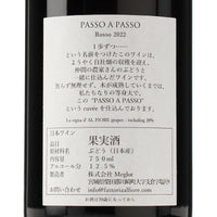 PASSO A PASSO 2022 Rosso