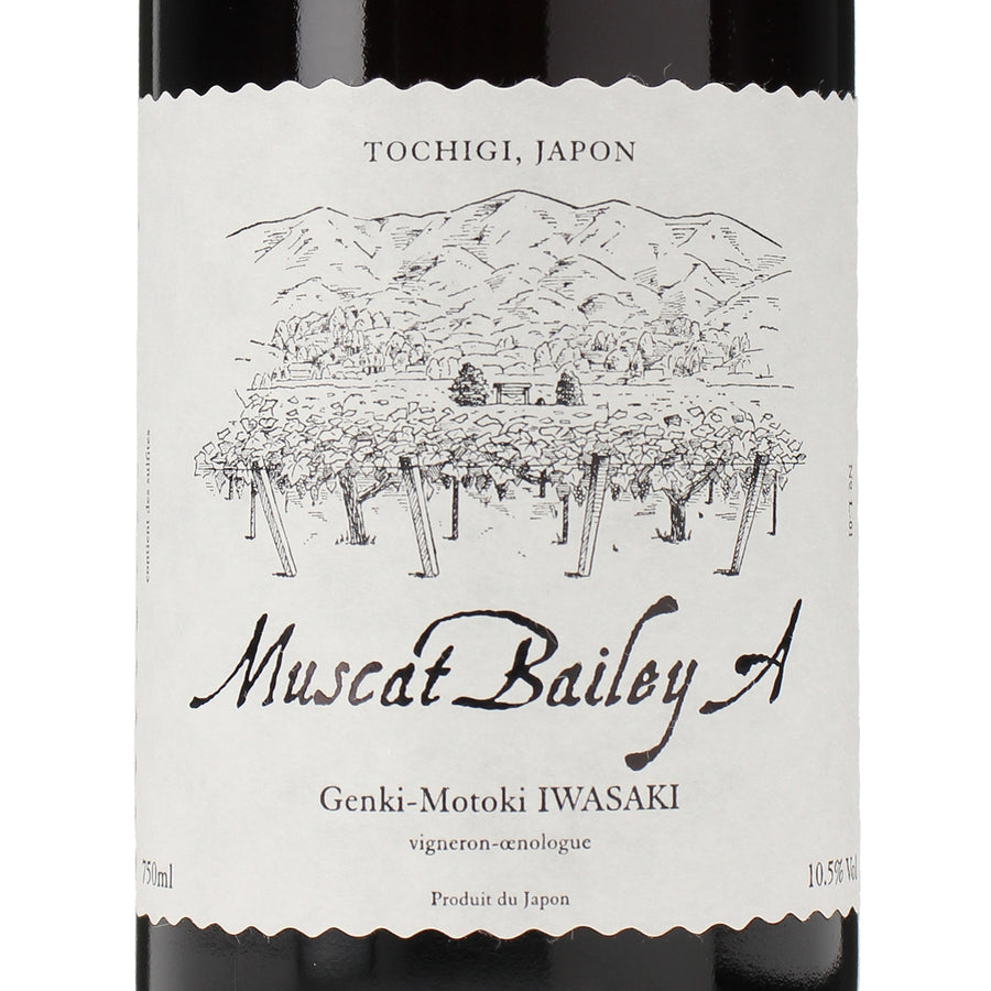 日本ワイン_Muscat Bailey A 2024_岩﨑元気_栃木県産赤ワイン_ミディアムボディ_750ml