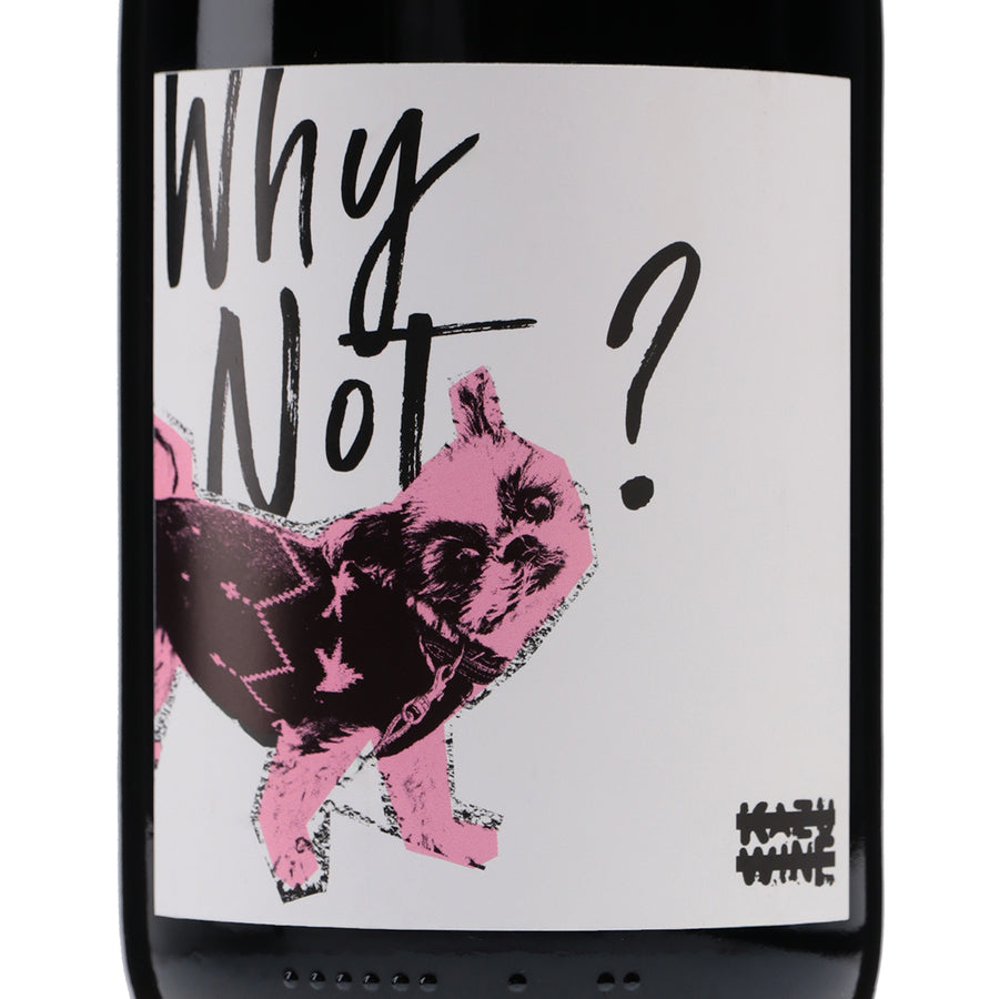 日本ワイン_"WHY NOT?" PINOT NOIR 2021_KAZU WINE_ニュージーランド産赤ワイン_ミディアムボディ_750ml