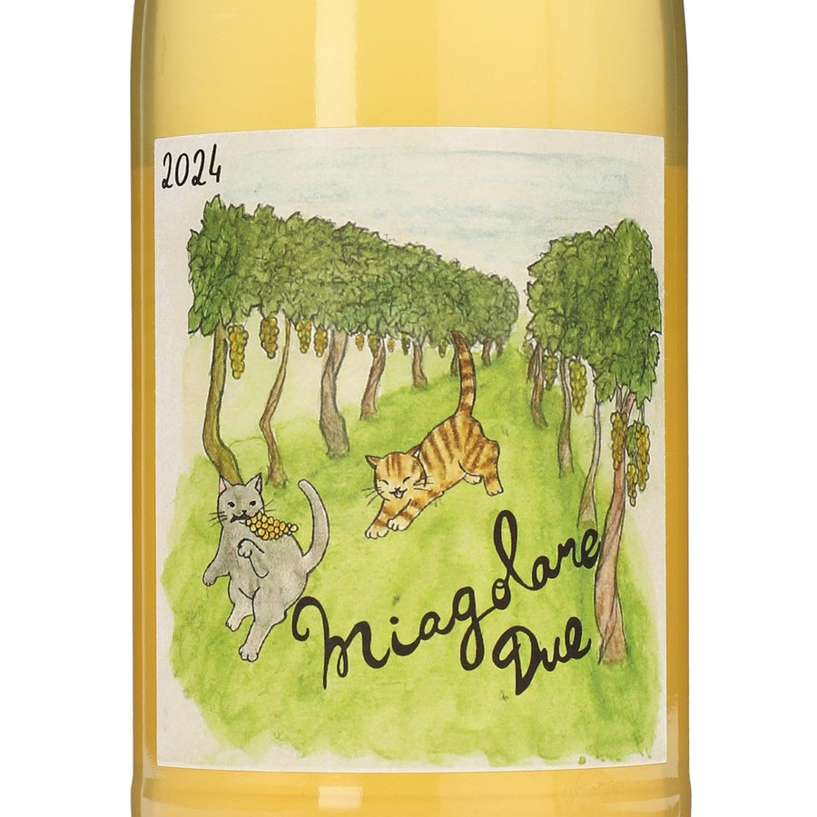 日本ワイン_2024 Miagolare Due_TAKAHIRO WINE_茨城県産スパークリングワイン_辛口_750ml