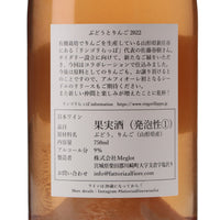 日本ワイン_ぶどうとりんご 2022_Fattoria AL FIORE_宮城県産スパークリングワイン_辛口_750ml
