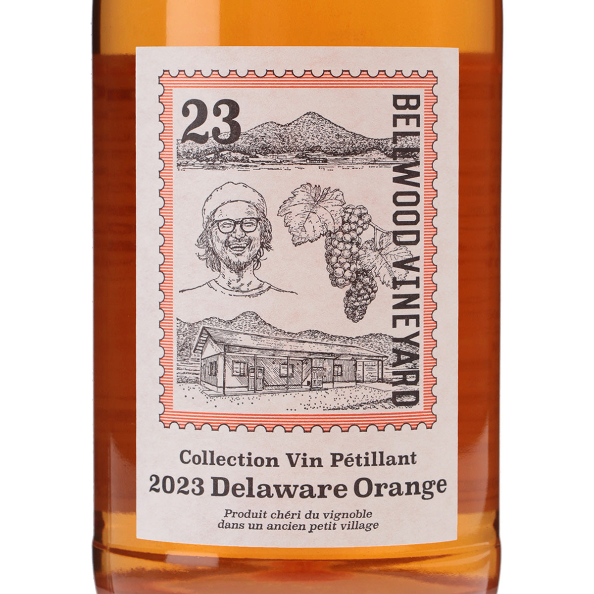 Collection Vin Petillant 2023 Delaware Orange