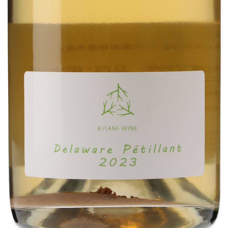 日本ワイン_デラウェアペティアン2023_木谷ワイン_奈良県産スパークリングワイン_辛口_750ml