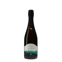 日本ワイン_スパークリングワイン キウイ_都農ワイン_宮崎県産フルーツワイン_甘口_750ml