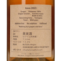 日本ワイン_Anco 2023_Fattoria AL FIORE_宮城県産オレンジワイン_辛口_750ml