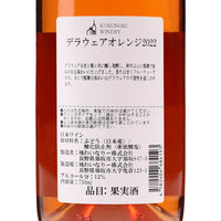 日本ワイン_デラウェアオレンジ 2022_楠わいなりー_長野県産オレンジワイン_辛口_750ml