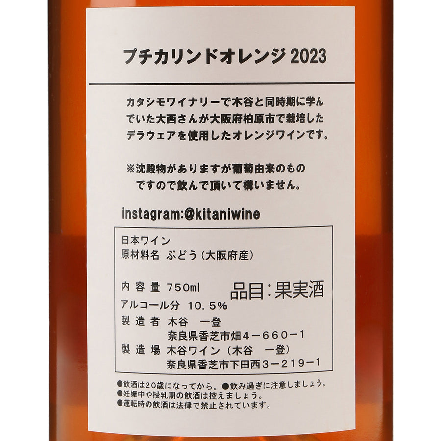 プチカリンドオレンジ2023