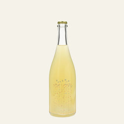 日本ワイン_【ツイヂラボ×wa-syu】空よりも高い青_ツイヂラボ_長野県産シードル_辛口_750ml