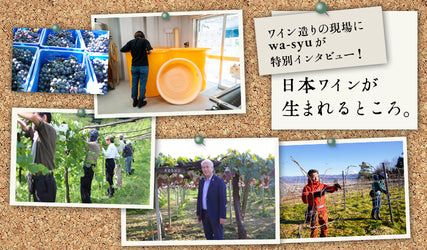 シリーズ・日本ワインが生まれるところ。ワイン造りの現場にwa-syuが特別インタビュー!