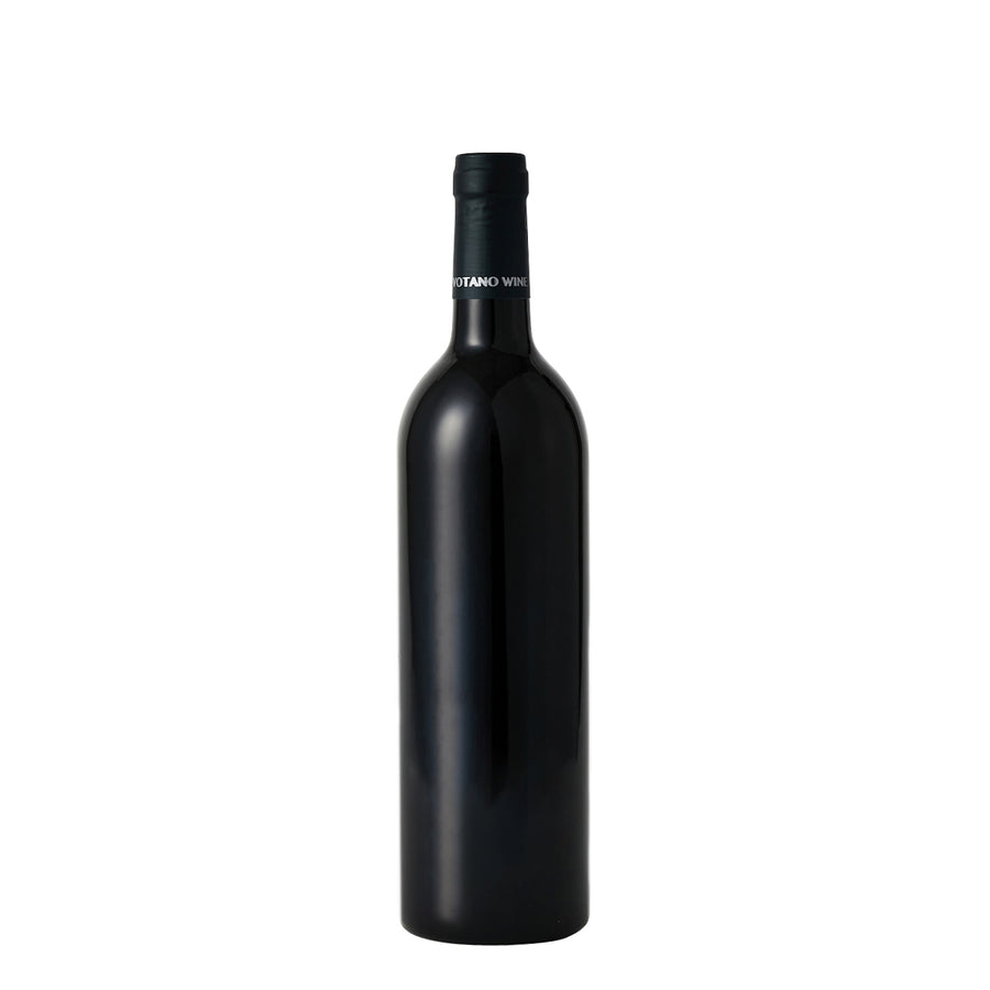 日本ワイン_セバ・ロッソ 2019_VOTANO WINE_長野県産赤ワイン_ミディアムボディ_750ml