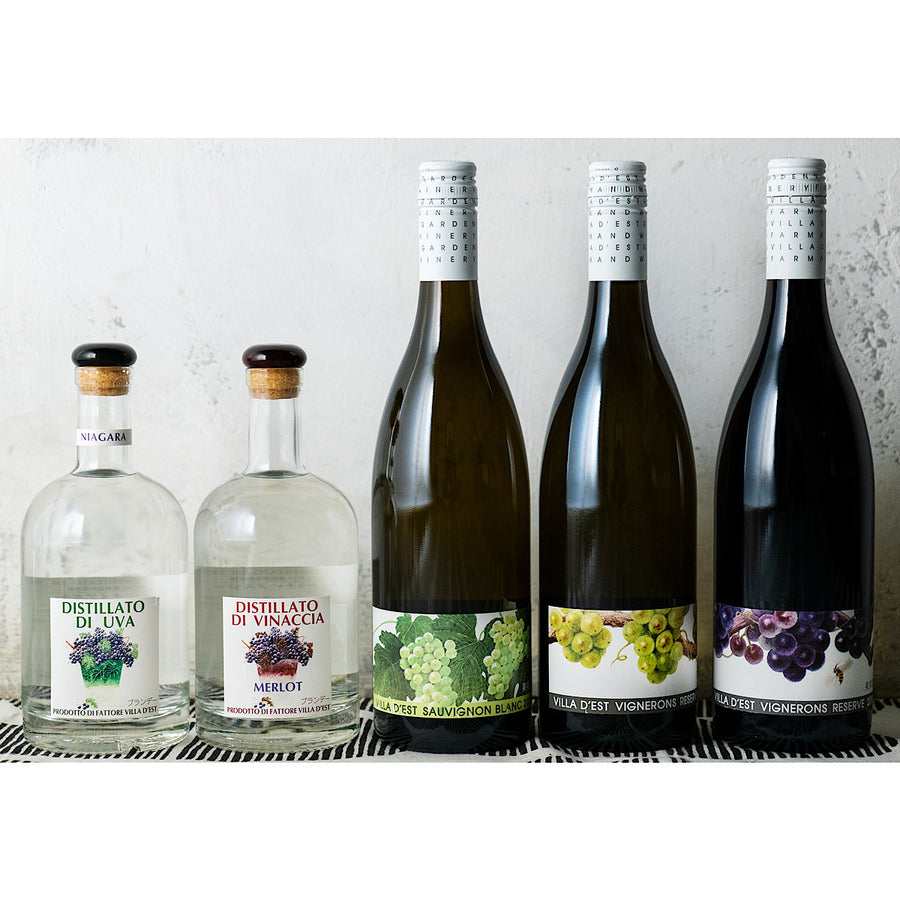 国産ブランデー_ヴィナッチャ メルロー_ヴィラデストワイナリー_長野県産ブランデー_フルーティー_500ml