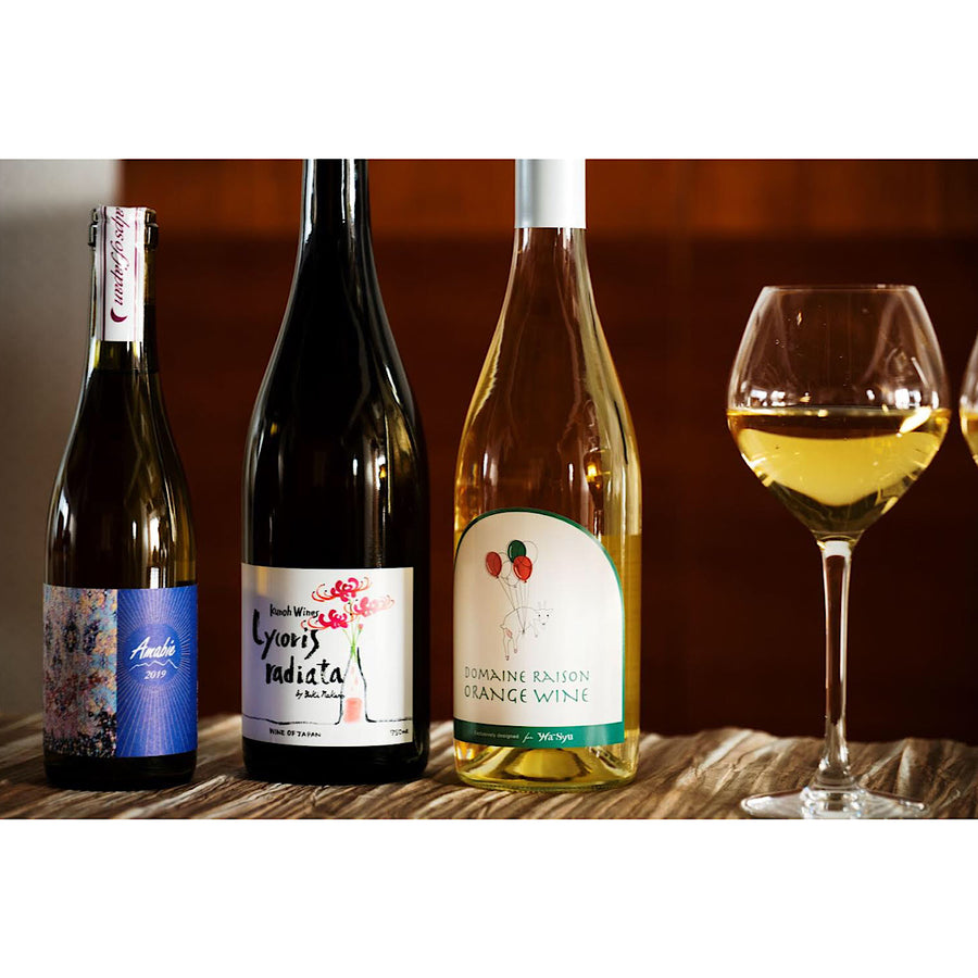 日本ワイン_【ドメーヌレゾン×wa-syu】オレンジワイン 2022_ドメーヌレゾン_北海道産オレンジワイン_辛口_750ml