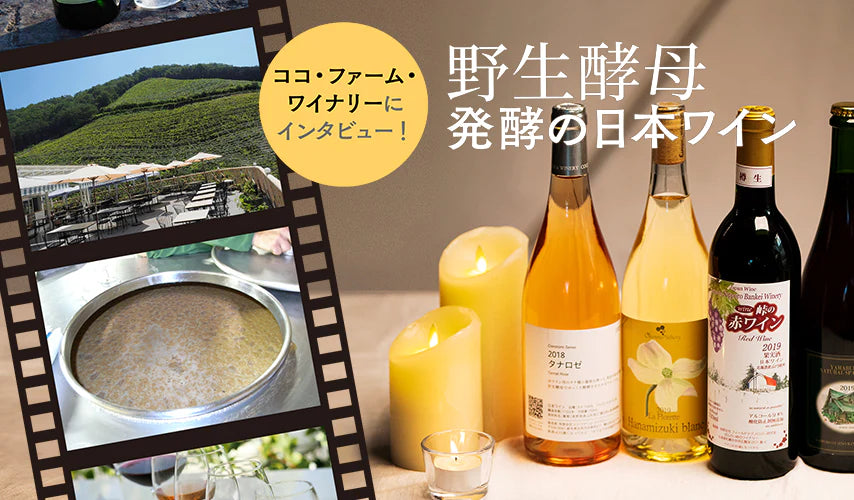 ココ・ファーム・ワイナリーにインタビュー！野生酵母発酵の日本ワイン