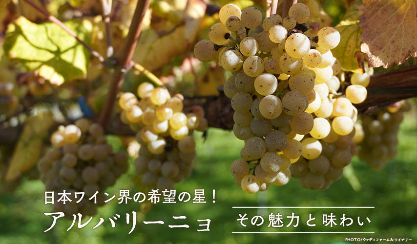 日本ワイン界の希望の星！アルバリーニョ