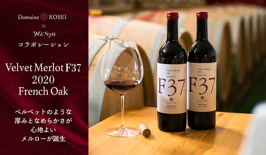 276本限定！『ドメーヌ・コーセイ』×『wa-syu』のコラボレーションワイン『Velvet Merlot F37 2020 French Oak』