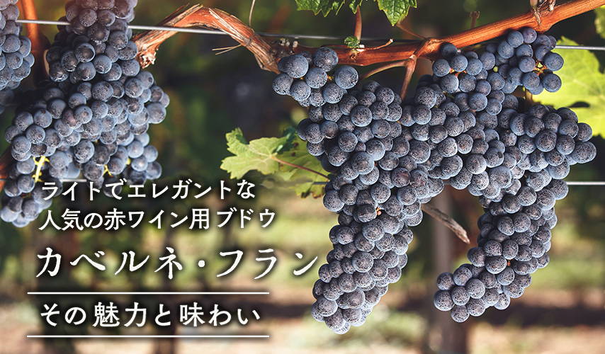 ライトでエレガントな人気の赤ワイン用ブドウ、カベルネ・フラン