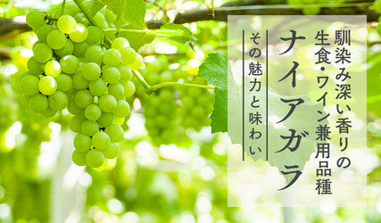 Green grapes hanging on a vine with Japanese text.