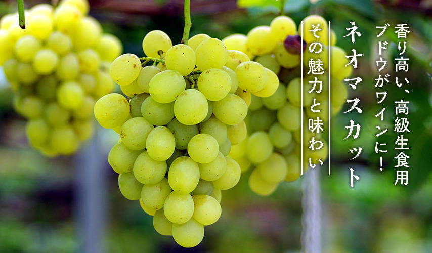 unnamed_8a1f4ac1-8b03-4d72-