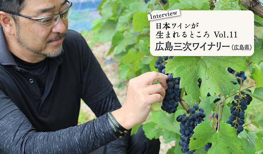 シリーズ・日本ワインが生まれるところ。広島『広島三次ワイナリー』にインタビュー！