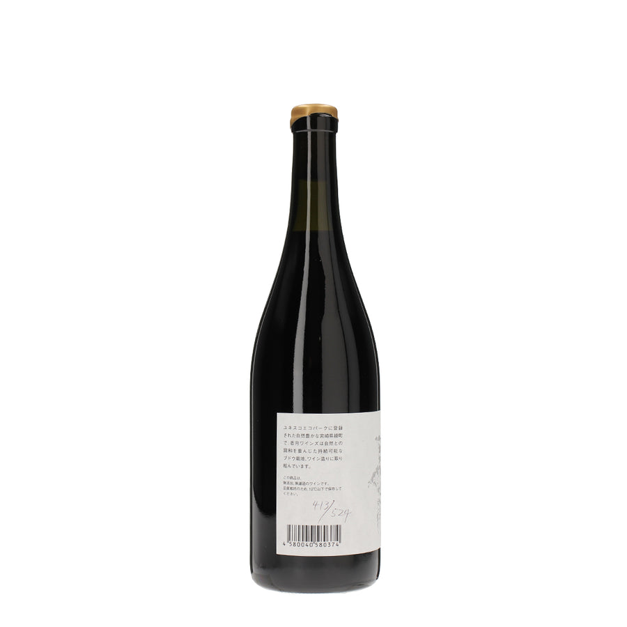 日本ワイン_2024 Aya Rouge 綾ルージュ_KATSUKI WINES_宮崎県産赤ワイン_ミディアムボディ_750ml
