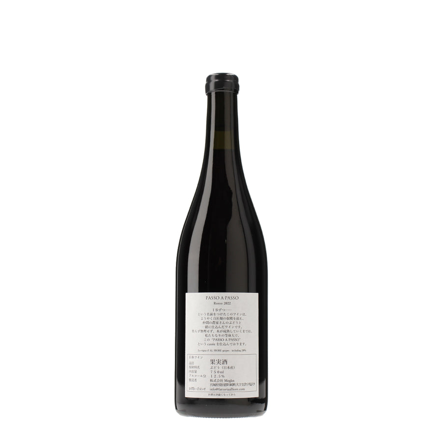 PASSO A PASSO 2022 Rosso