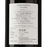 PASSO A PASSO 2023 Rosso