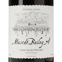 岩﨑元気 マスカット・ベリーA 2024( Muscat Bailey A 2024 / Genki-Motoki IWASAKI )