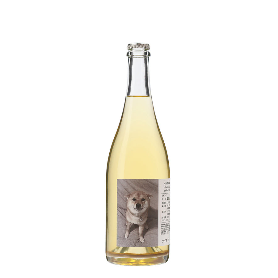 【wa-syu限定】carraria Chardonnay petillant 2023