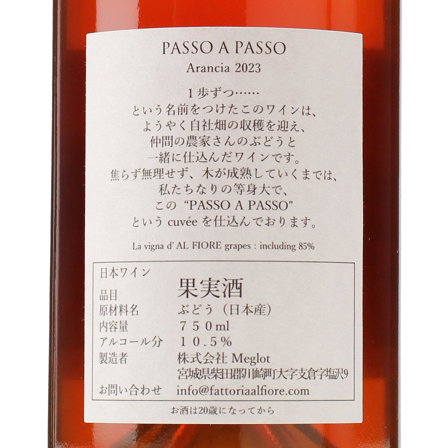 PASSO A PASSO 2023 Arancia