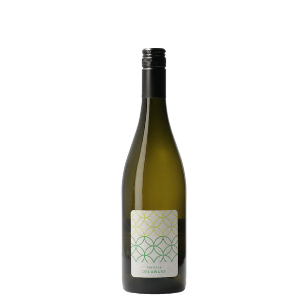 Tabletop Delaware 2022 /清澄白河フジマル醸造所 /白ワイン /辛口