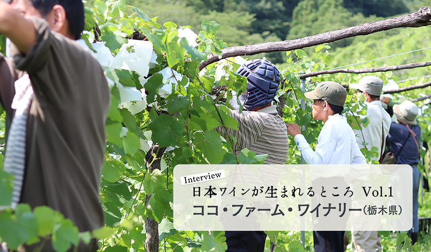 シリーズ・日本ワインが生まれるところ。Vol.1。栃木『ココ・ファーム・ワイナリー』にインタビュー！日本ワインは人とブドウのストーリーから生まれます。ますます日本ワインが好きになる、そんな素敵なワイナリーを、wa-syuが独自取材で紹介します。