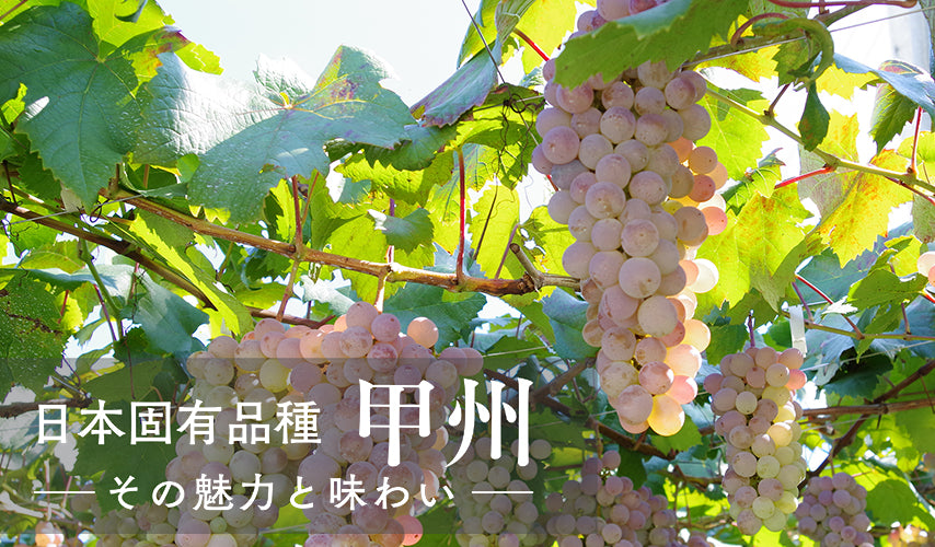 ー その魅力と味わい ー 日本固有品種、甲州 日本ワインといえば