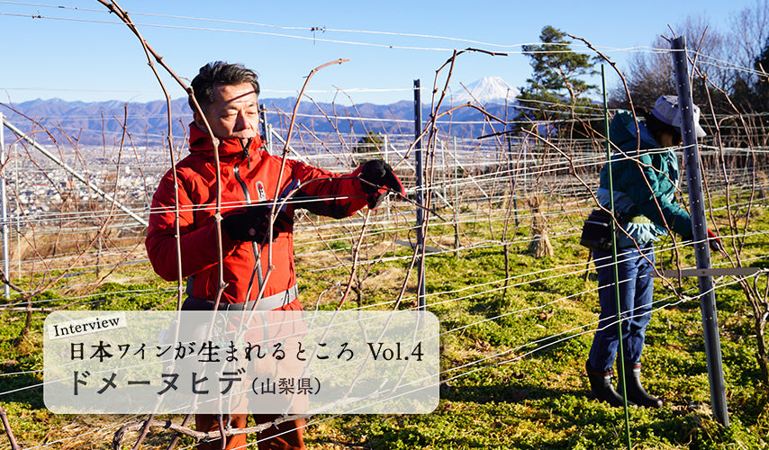 シリーズ・日本ワインが生まれるところ。Vol.4　山梨『ドメーヌヒデ』にインタビュー！日本ワインは人とブドウのストーリーから生まれます。ますます日本ワインが好きになる、素敵なワイナリーを独自取材。